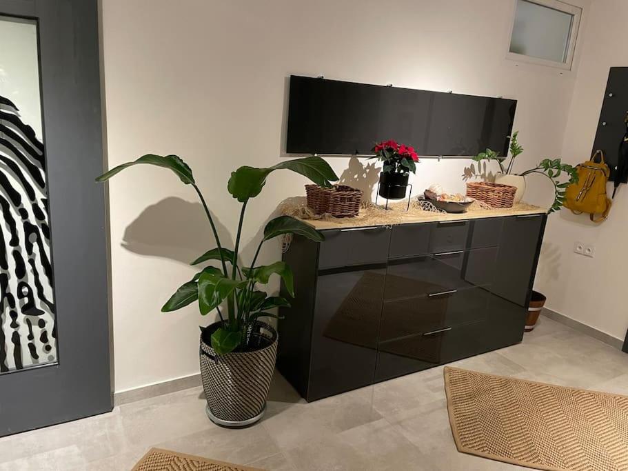 Luxury Private holiday in Prague - all house photo 3