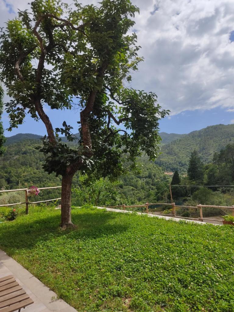 Agriturismo Torsivì photo 2