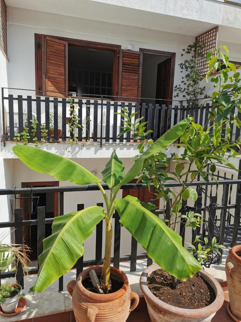Casa Antigone 99 photo 4