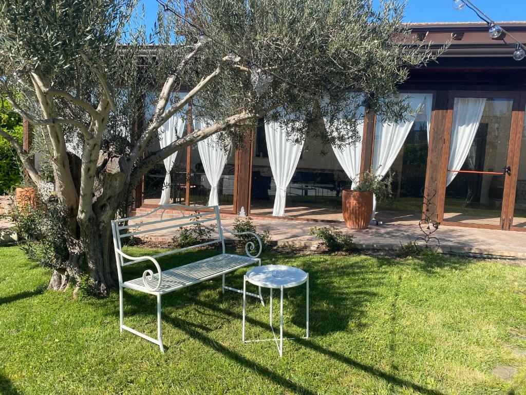 B&B Terre di Paestum photo 4