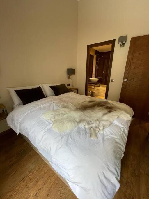 HOLA ANDORRA - family apartment photo 3