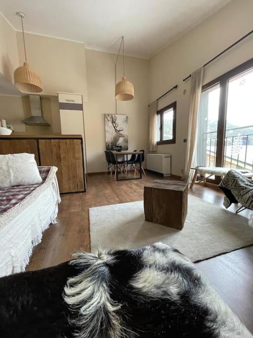 HOLA ANDORRA - family apartment photo 4