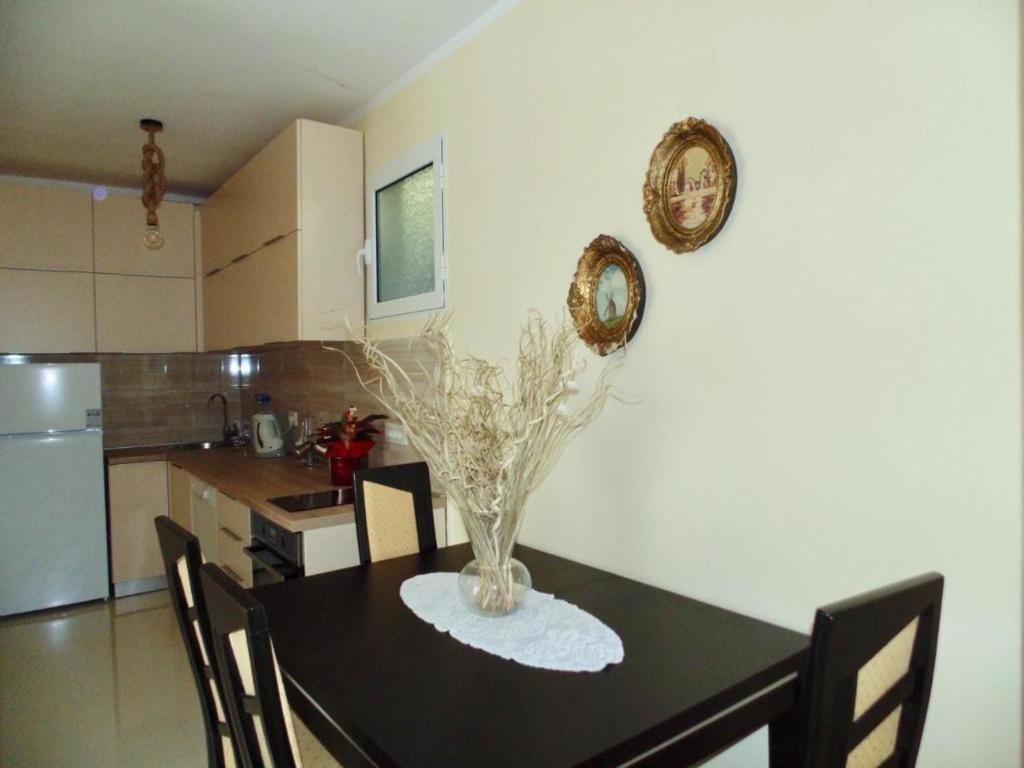Apartman Rijeka Crnojevica photo 3
