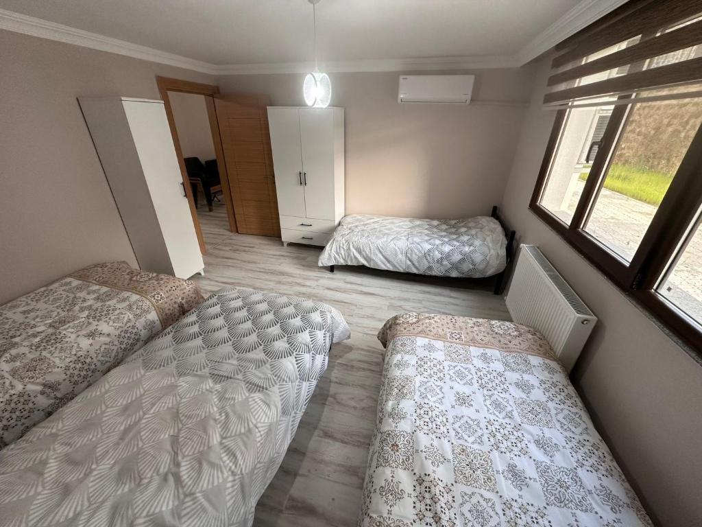 Şehir merkezin de photo 1