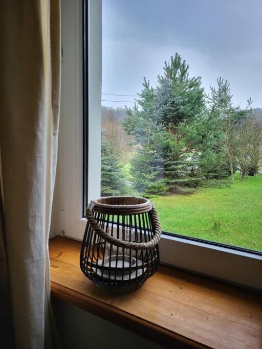 Na Dębowej- Apartament/dom 2 pokoje-prywatny las photo 4