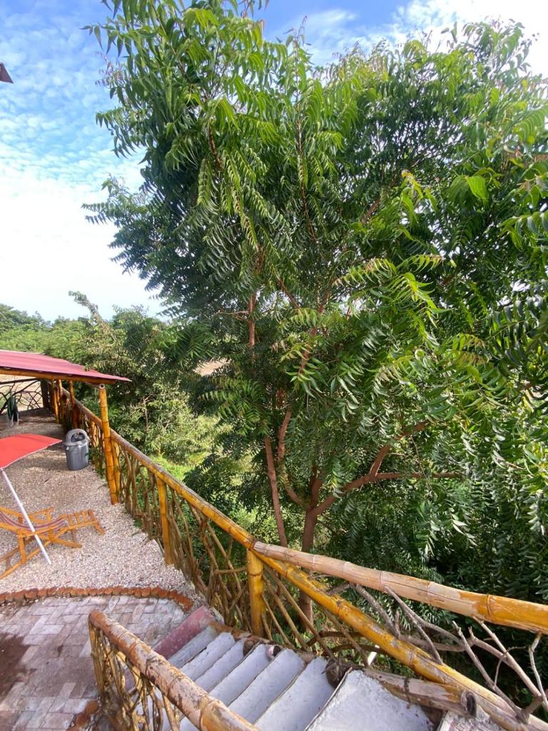 Casa - El Arrecife photo 2
