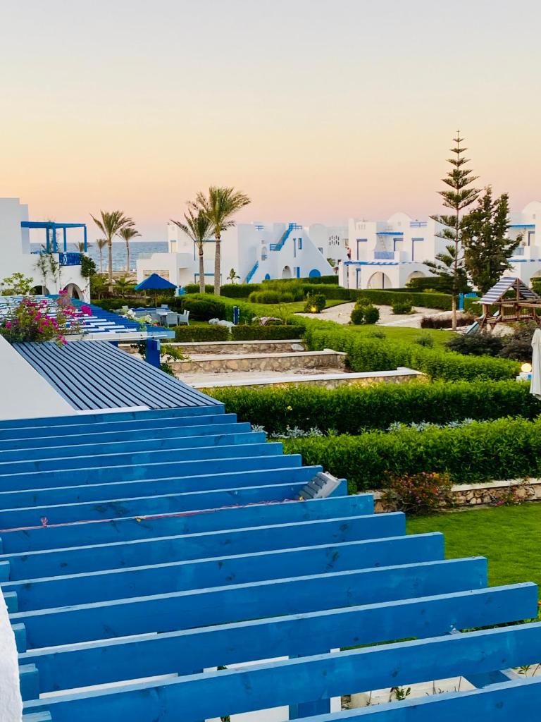 ماوتن فيو / Mountain View North Coast