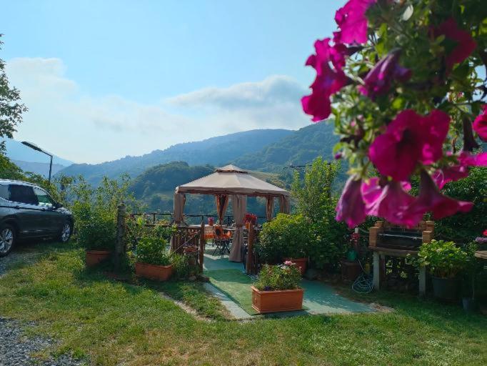 B&B Il Ghiro-Country House photo 3