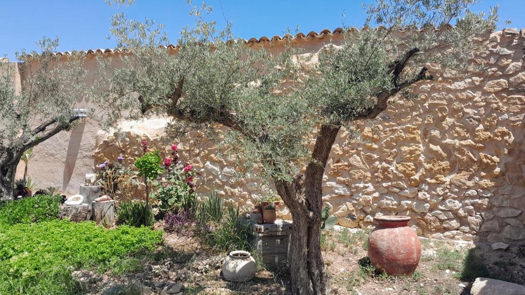 Casa Rodriguillo photo 1
