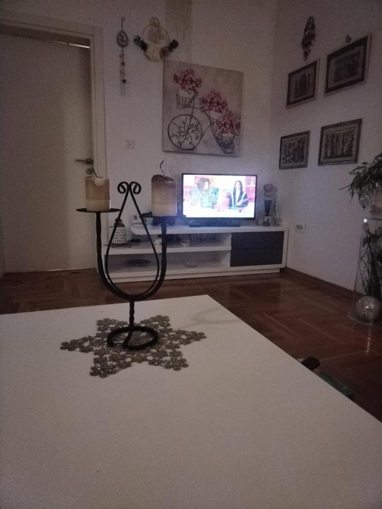 Sarita1 photo 3