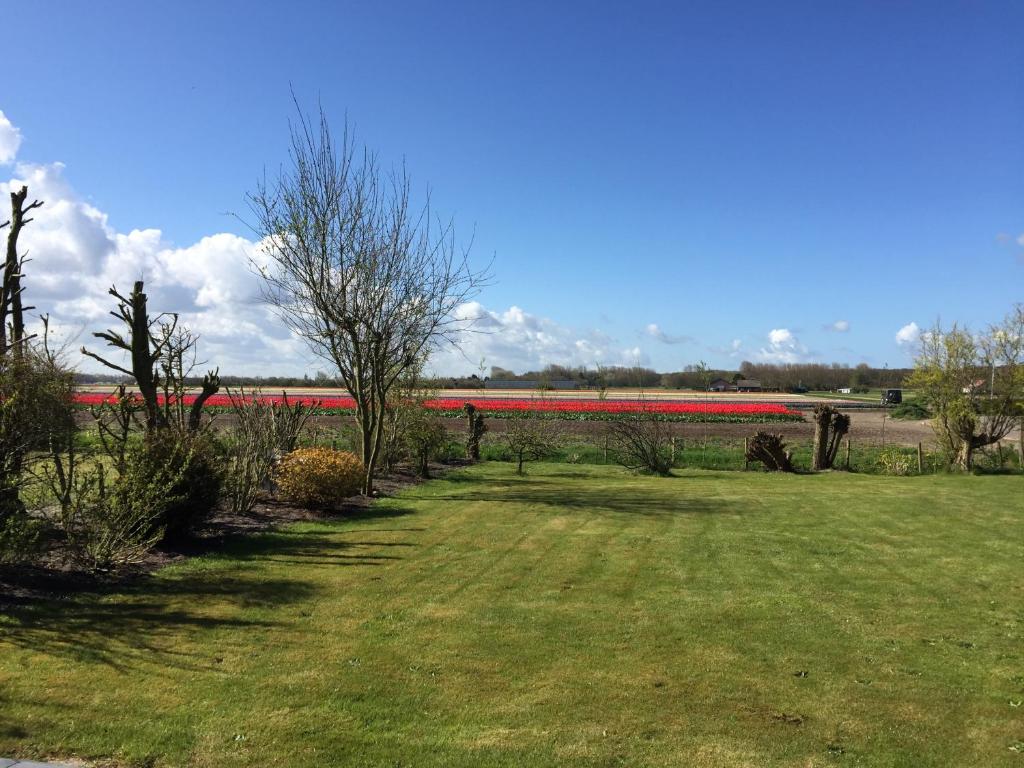 Het Eerste Huisje vacation home photo 4