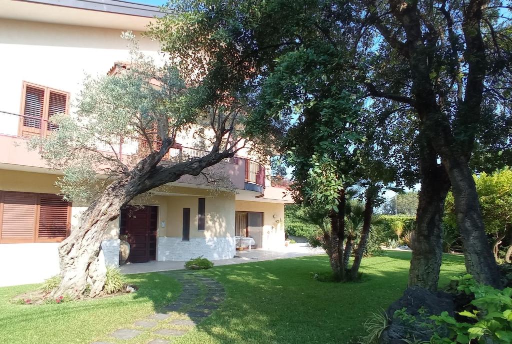 Elios photo 2