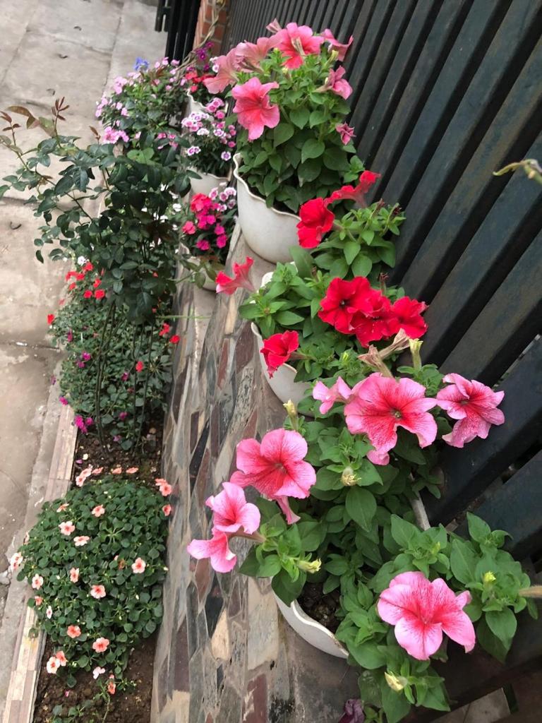 Mika Homestay Teacher’s House