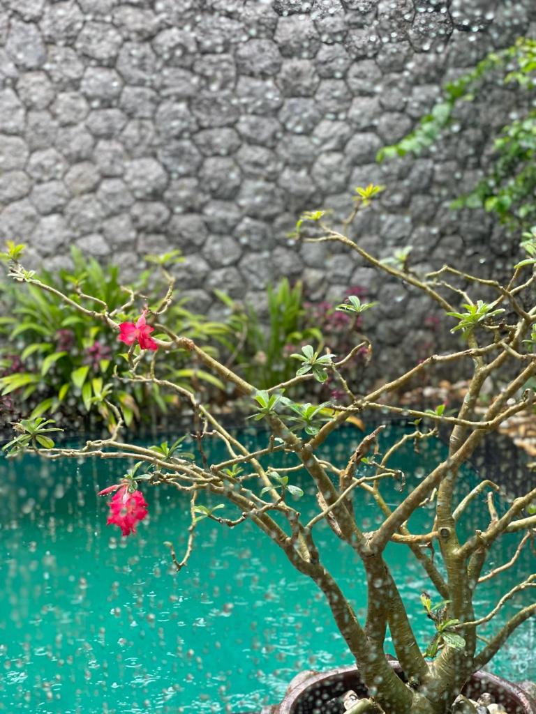 泰暖warmThai photo 2
