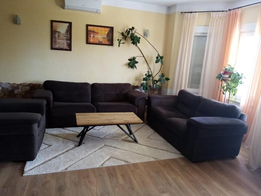Apartment Andrić photo 1