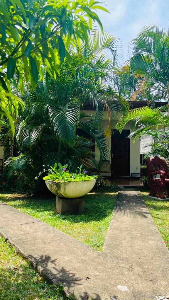 Lal Home Stay