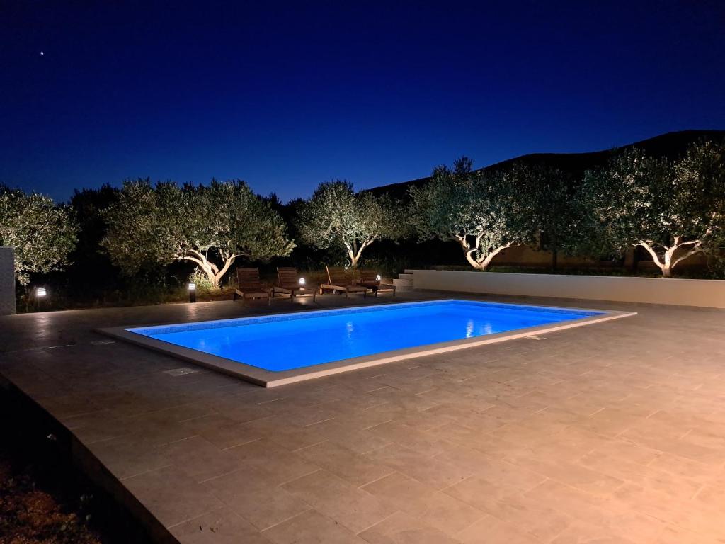 Olive garden oasis photo 3