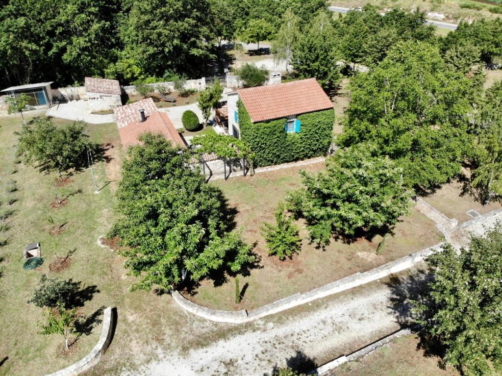 Family-sized renovated Istrian house w/lavand field - 20min from Rovinj. photo 2