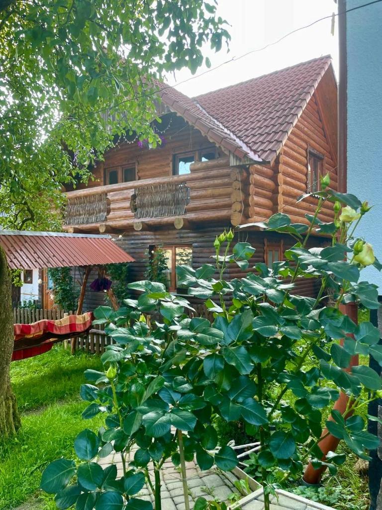 Kotedzh Smereka photo 3