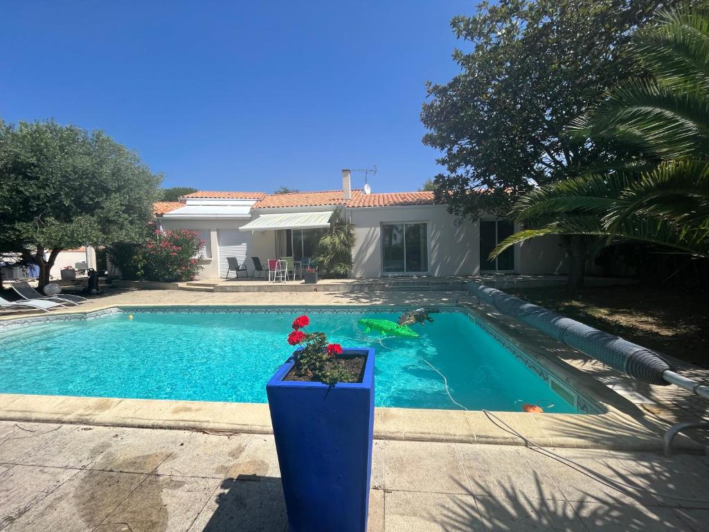 Villa des palmiers photo 3