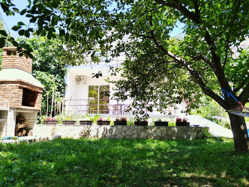 Apartments Pasha photo 2