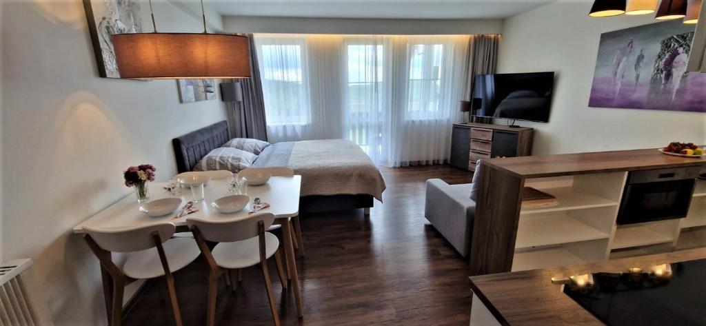 Horní Mísečky -C1 apartmán u sjezdovky