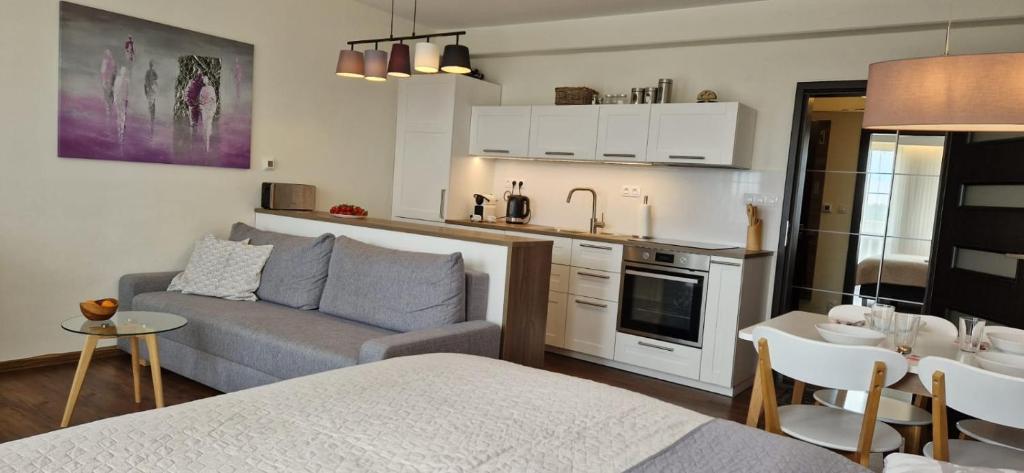 Horní Mísečky -C1 apartmán u sjezdovky photo 1