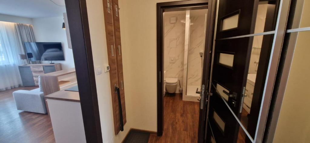 Horní Mísečky -C1 apartmán u sjezdovky photo 4