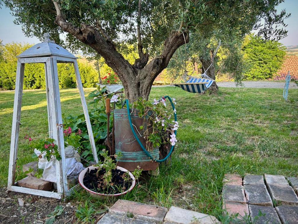 La Collina in una Stanza - Atessa photo 3