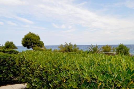 Villa Garmina photo 4