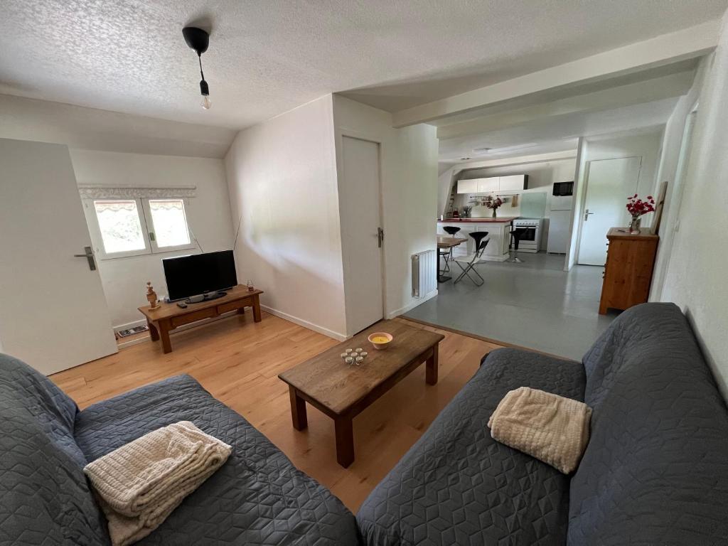Appartement atypique photo 3