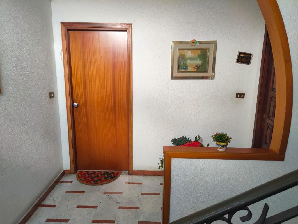 Il tulipano photo 1