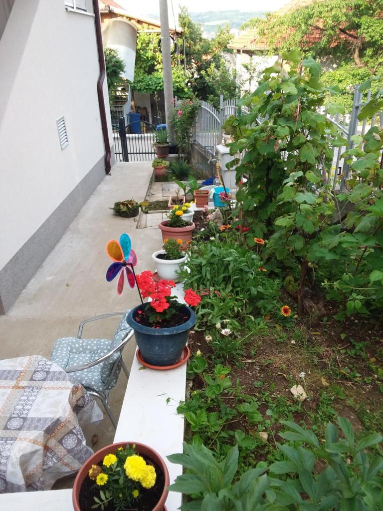 NEW Novi Apartment Mirjana photo 3