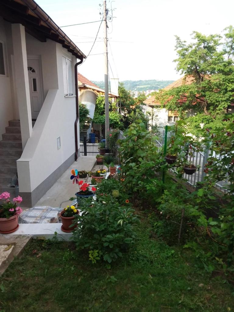 NEW Novi Apartment Mirjana photo 2