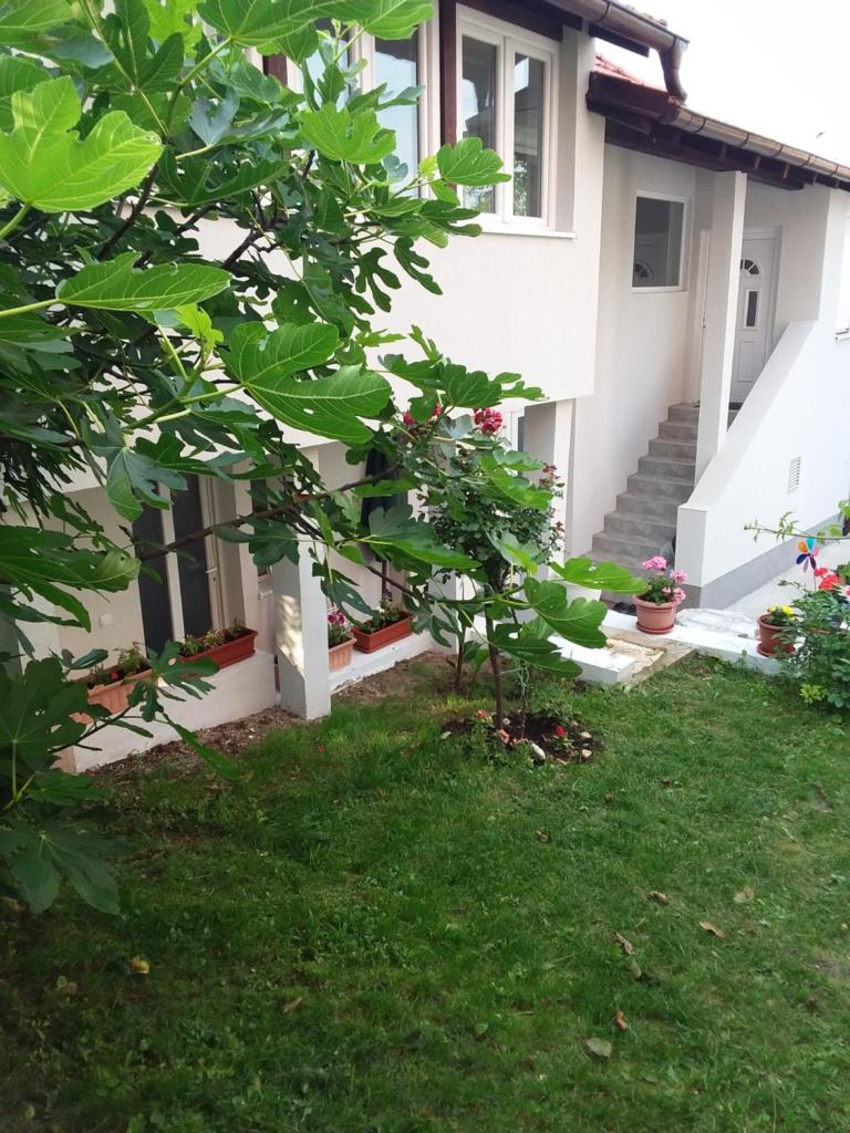 NEW Novi Apartment Mirjana photo 1