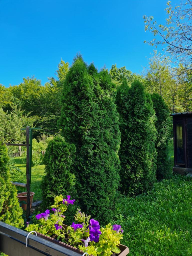Kuća za odmor Hodak photo 4