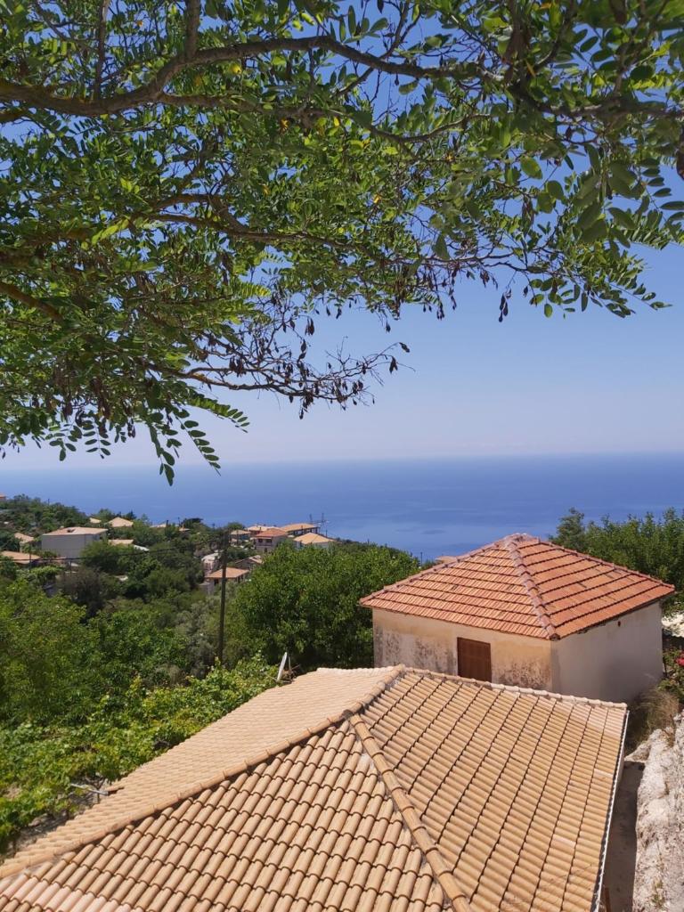 Ionian Avra Apartment photo 1