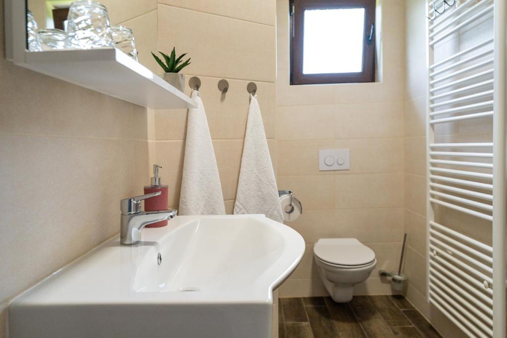 Deluxe Apartment with Jacuzzi PATAR photo 3