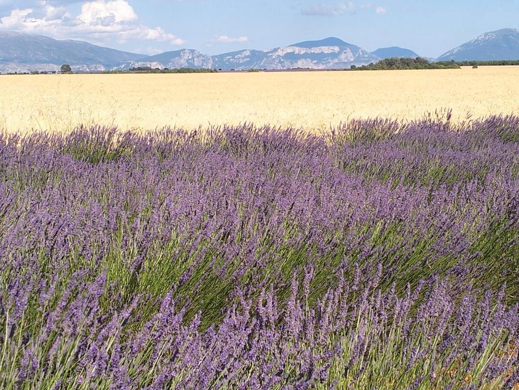 La Provence vous Attend***!!! - 1er étage (La Provence vous Attend***!!! - 1er etage) - 1베드룸 아파트 