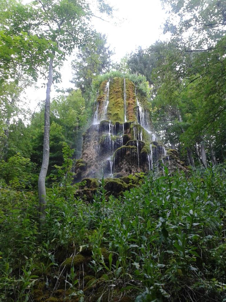 1베드룸 아파트