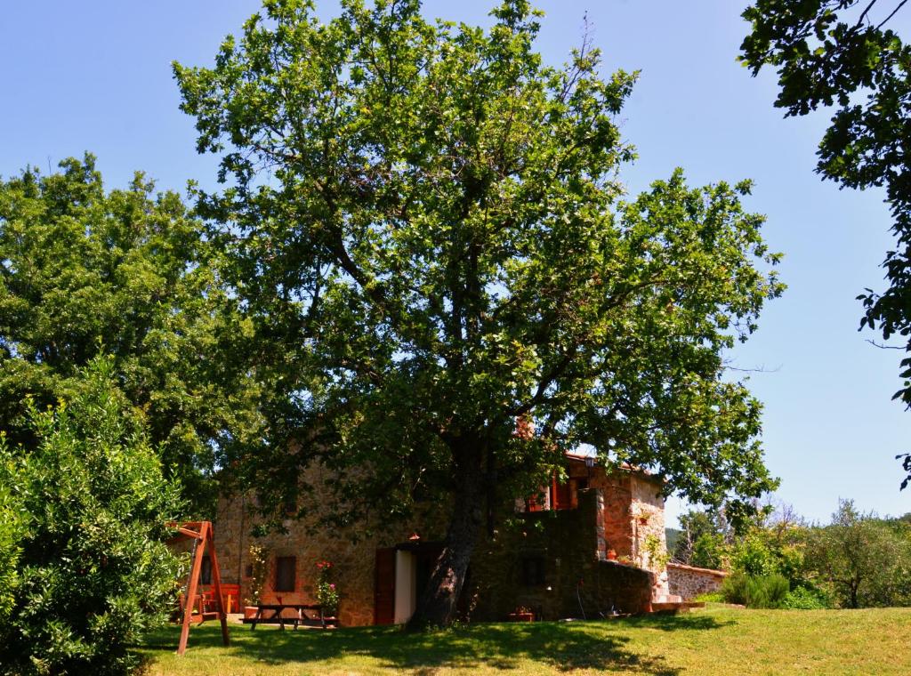 Il Venaio photo 3