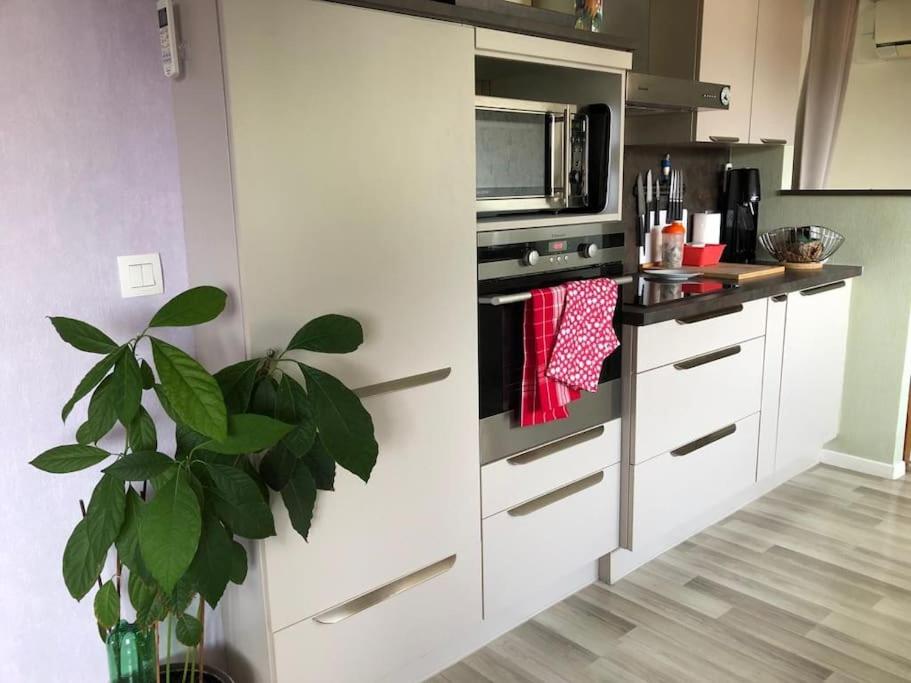 Charmant appartement au calme photo 2
