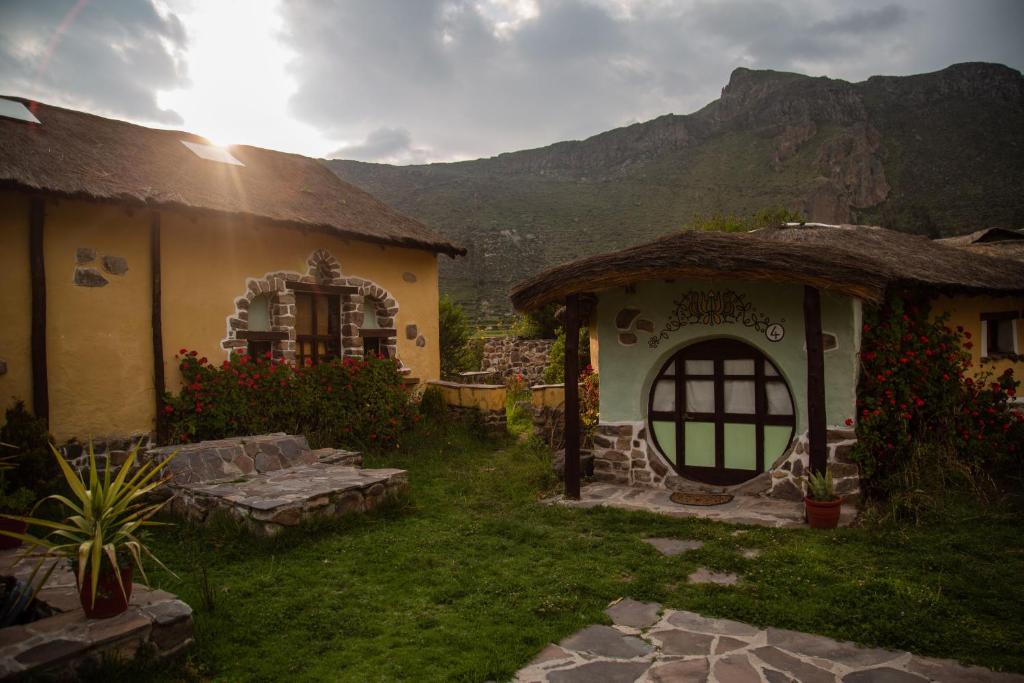 Ayni Wasi photo 3