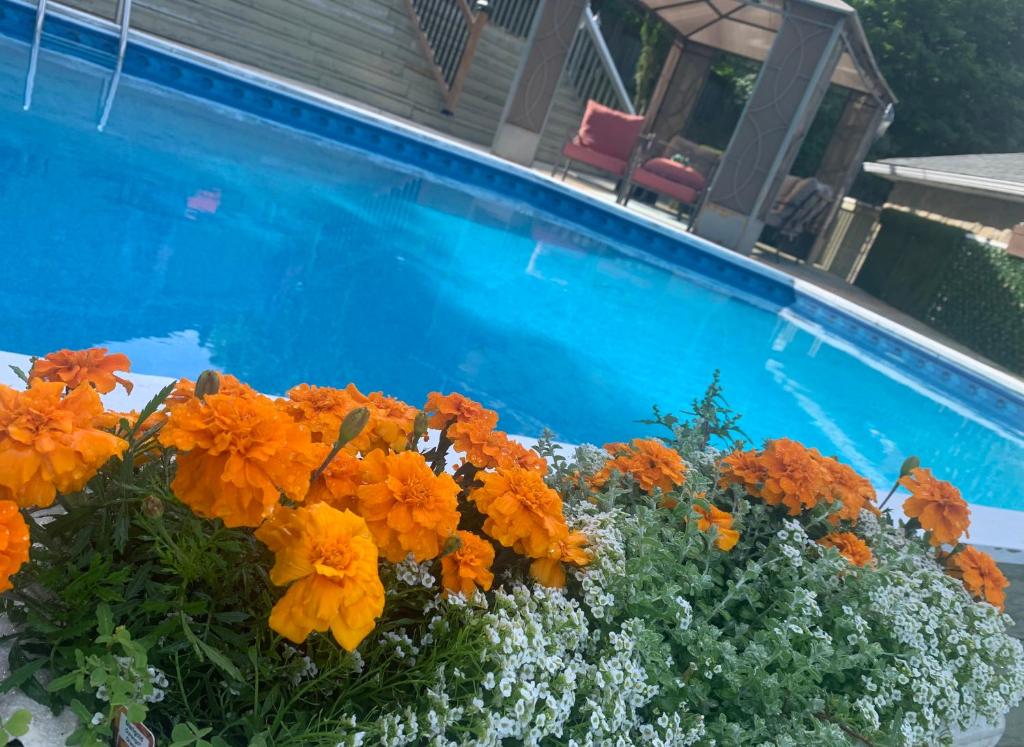 Q Estate Pool cottage photo 1