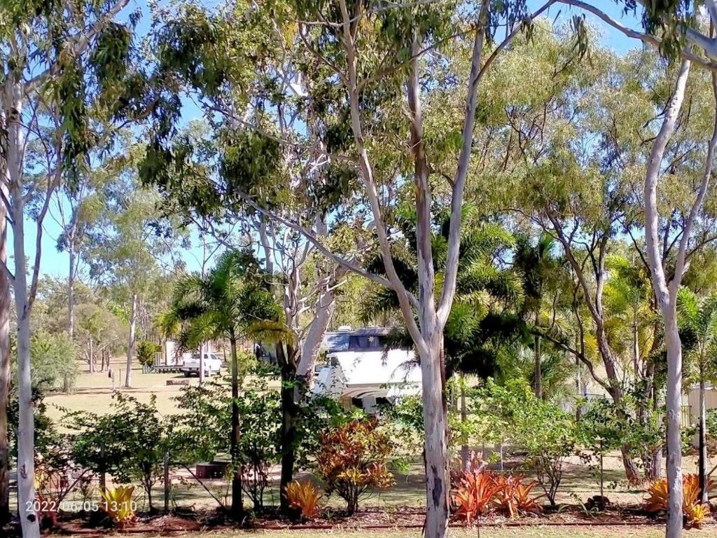 Tamarind Gardens Camping, Caravans, Accommodation photo 2