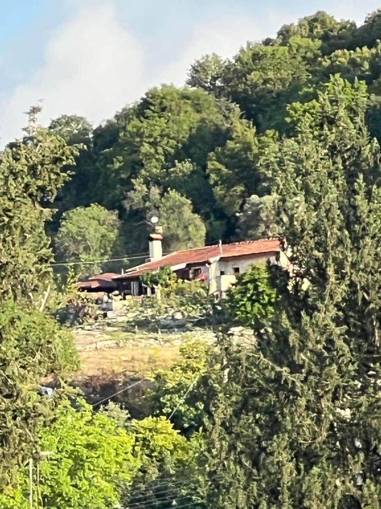 Despina country retreat