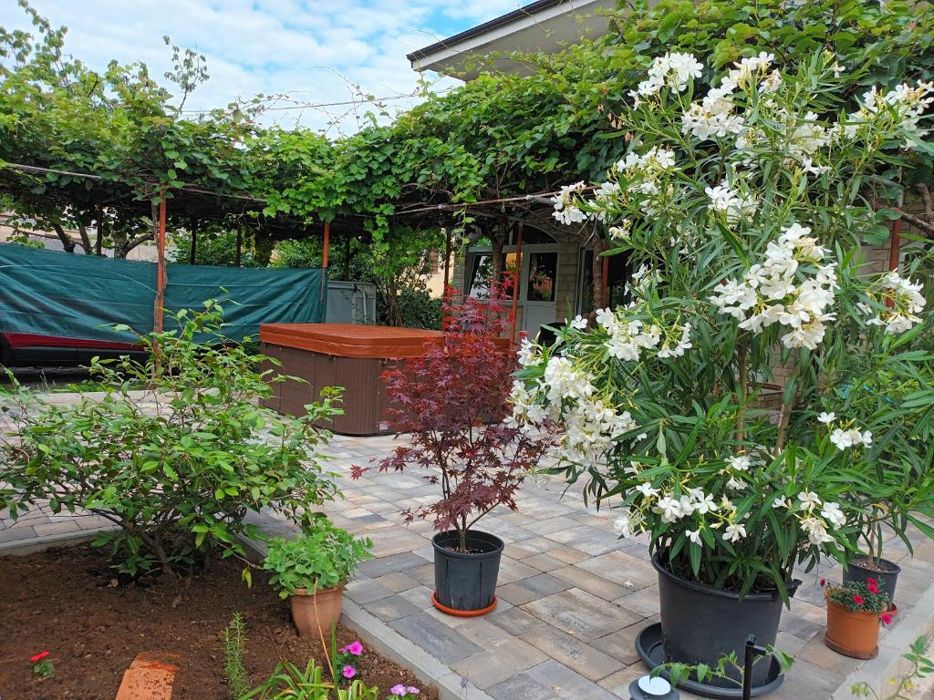 Jane's Garden photo 3
