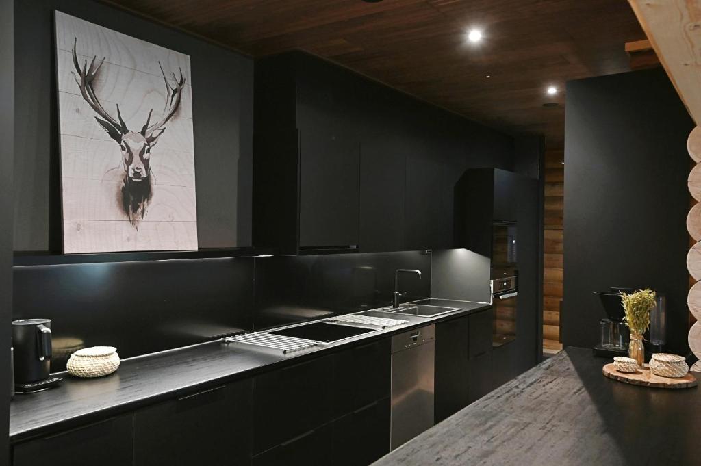 Levillenet Bearlodge at Levi city centre photo 4