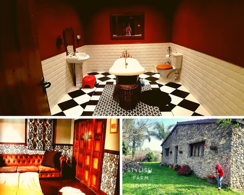 Stylish Farm House photo 4