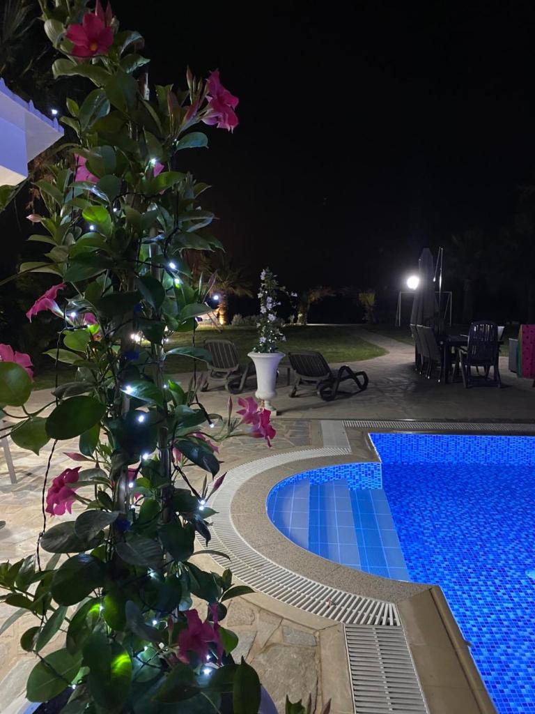 Ionion Beachfront Villa photo 2
